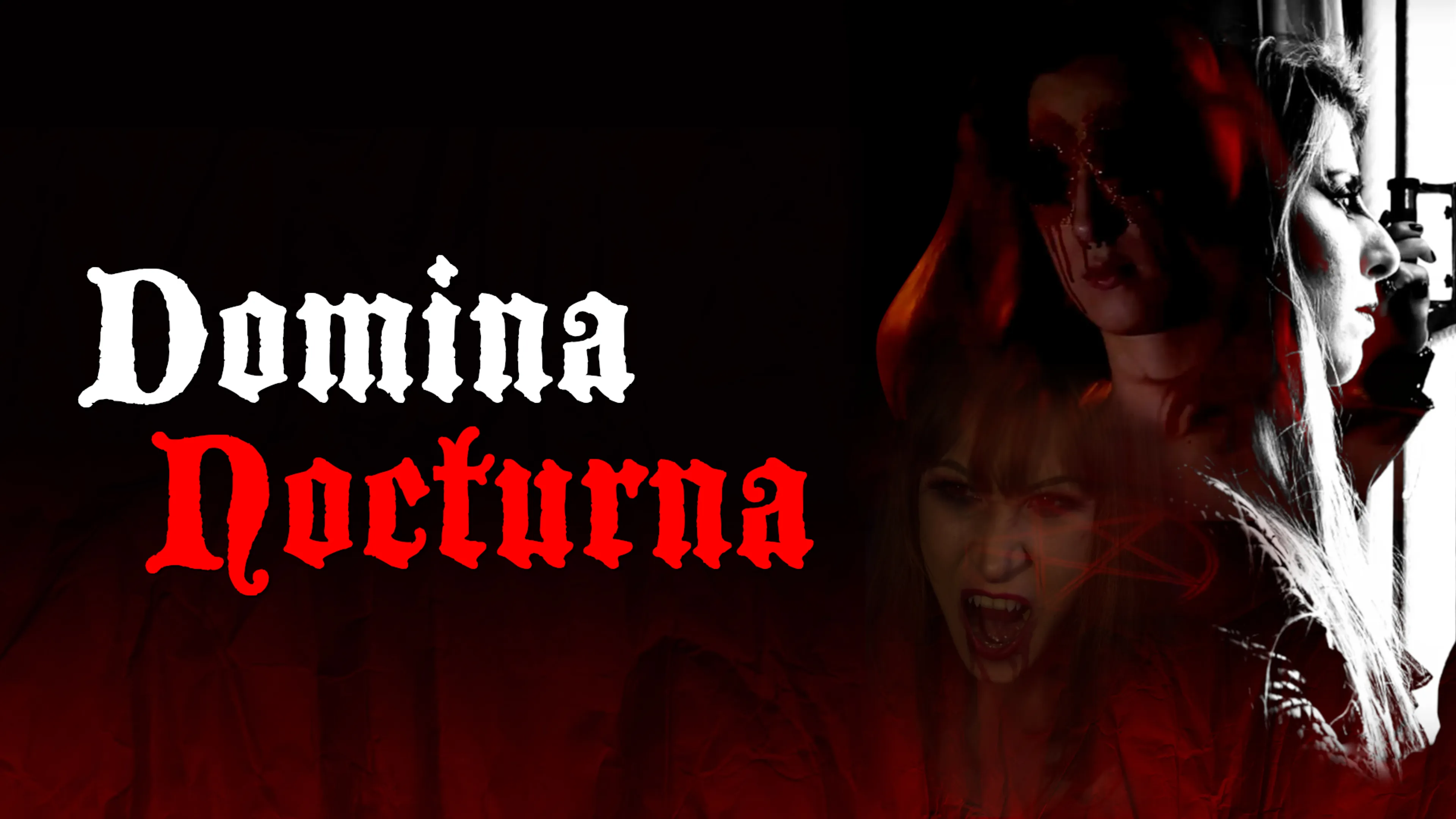 Domina Nocturna poster